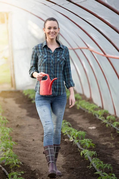 Mujer agricultora regando plántulas en invernadero — Foto de Stock