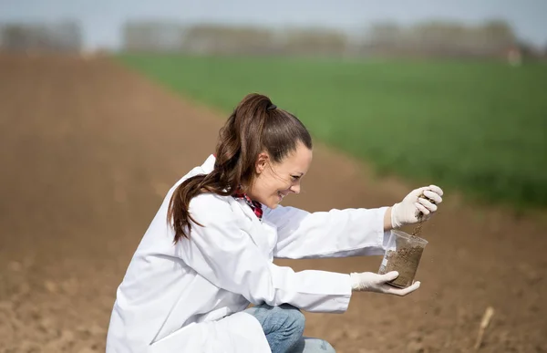 Agronomista verificando a qualidade do solo — Fotografia de Stock