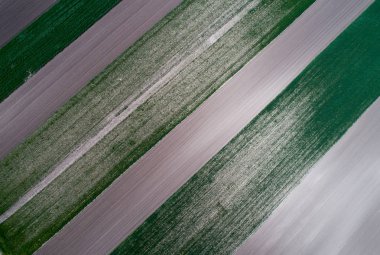 Tarımsal parsel Üstten Görünüm