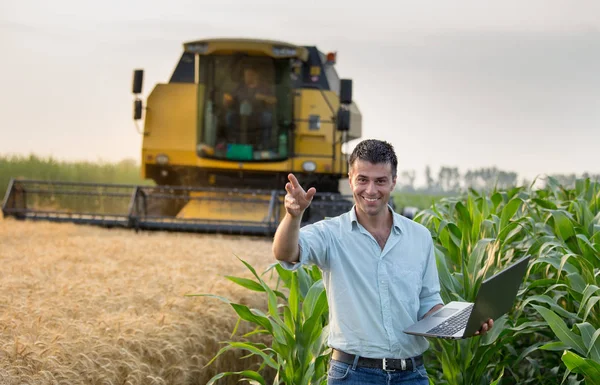 快乐的年轻农夫工程师与膝上型计算机站在小麦和玉米田同时联合收割机工作背景 — 图库照片