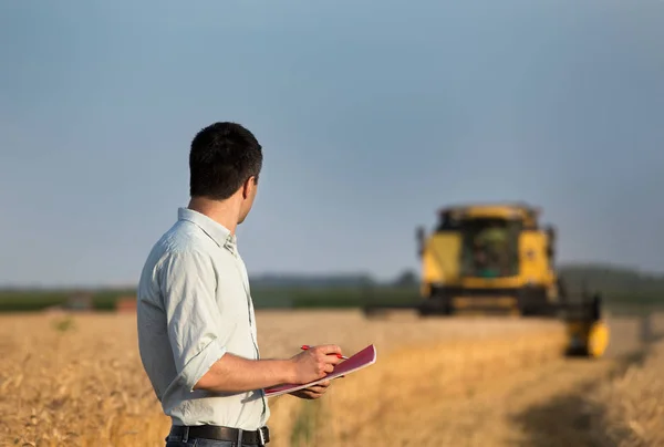 Rückansicht Eines Jungen Landwirt Ingenieurs Mit Notizbuch Der Auf Einem — Stockfoto