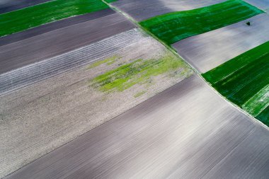Tarımsal parsel Üstten Görünüm