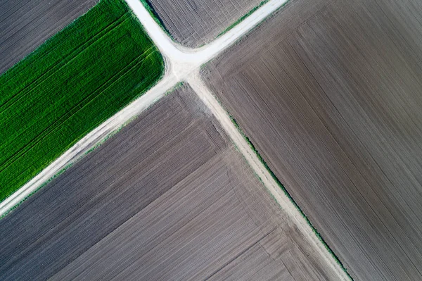 Tarımsal parsel Üstten Görünüm