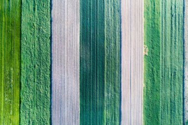 Tarımsal parsel Üstten Görünüm