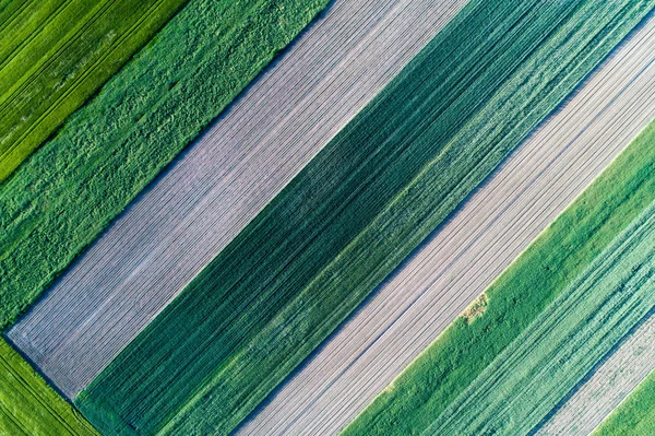 Tarımsal parsel Üstten Görünüm — Stok fotoğraf
