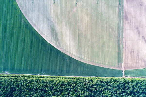 Vista dall'alto delle parcelle agricole — Foto Stock