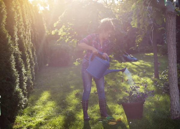 Frau gießt Pflanzen — Stockfoto