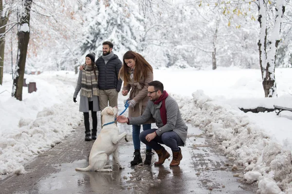 Paar spaziert mit Hund im Park auf Schnee — Stockfoto