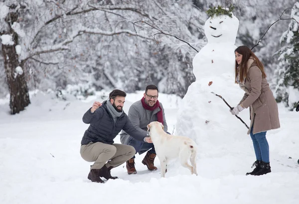 Freunde bauen Sämann im Park — Stockfoto