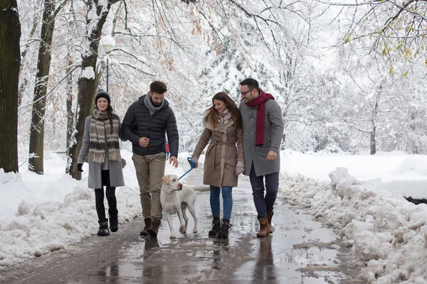 Freunde spazieren Hund im Park auf Schnee — Stockfoto