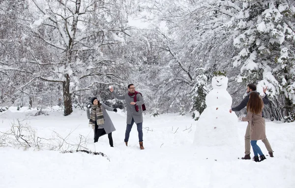 Freunde bei Schneeballschlacht — Stockfoto