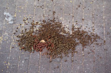 Yığınla köpek için granüller