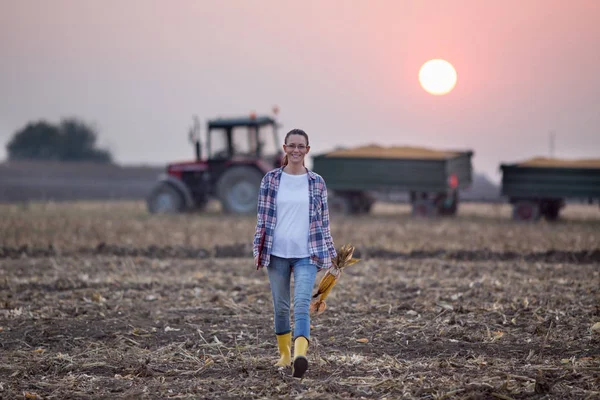 Mulher agricultora com espigas de milho durante a colheita no campo — Fotografia de Stock