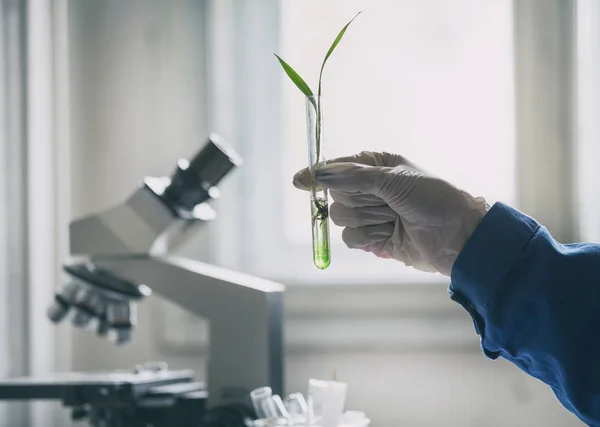 Biolog držící klíčky ve zkumavce — Stock fotografie