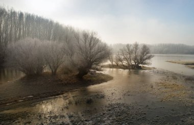 Nehir ve orman kışı insansız hava aracından çıkar.