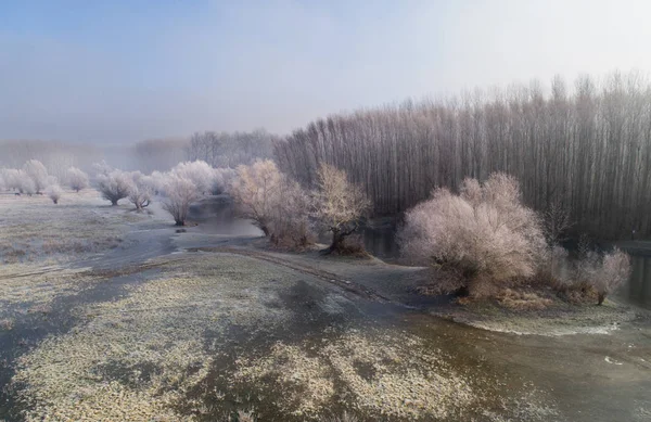 Zimowy krajobraz rzeki i lasu strzelać z drona — Zdjęcie stockowe