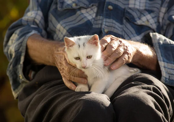 Senior man holding cat in lap — Stock Photo, Image