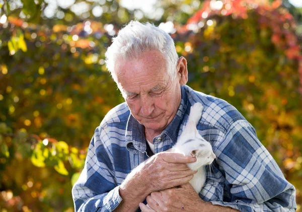 Yaşlı adam beyaz kediyle oynuyor. — Stok fotoğraf