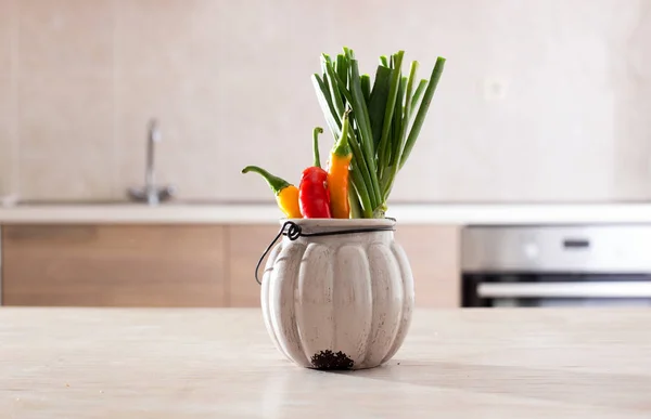 Перець чилі і цибуля в мисці на кухні — стокове фото