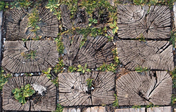 Wooden logs with grass as pavement — Stock Photo, Image