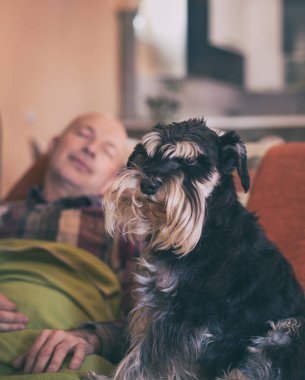 Dog sitting beside owner while he sleeping