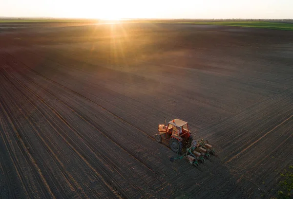 Traktor, pracující v oboru na jaře — Stock fotografie