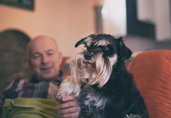 Hond zit naast eigenaar op bank — Stockfoto