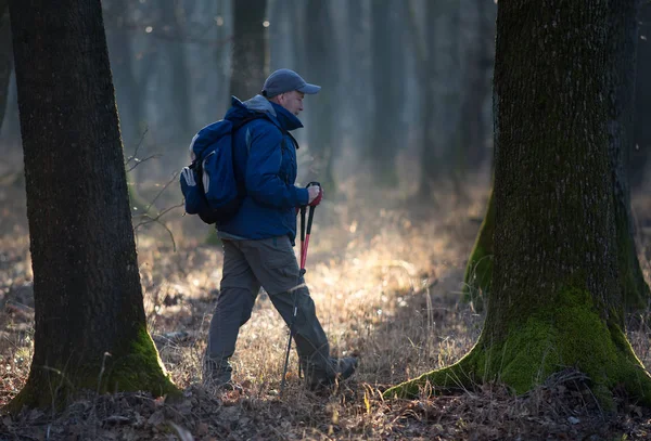 Hiker walking in forest in winter time — ストック写真