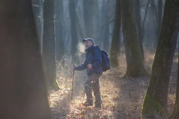 Hiker walking in forest in winter time — ストック写真