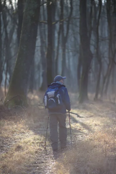 Hiker walking in forest in winter time — Stok fotoğraf