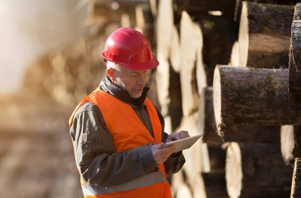 Holztechniker arbeitet an Tablet — Stockfoto