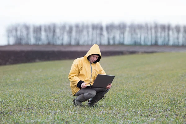 Agricoltore con computer portatile nel campo di grano in inverno — Foto Stock