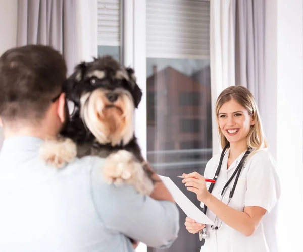 Dog examination at veterinarian — Stock Photo, Image