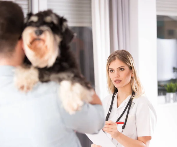Badanie psa w weterynarii — Zdjęcie stockowe