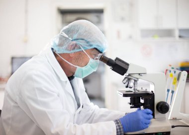 Erkek biyolog laboratuarda örnekler test ediyor, mikroskopla inceliyor.