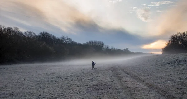 寒冷多雾的冬日早晨 提着手杖和背包在森林里散步的成熟徒步旅行者 — 图库照片