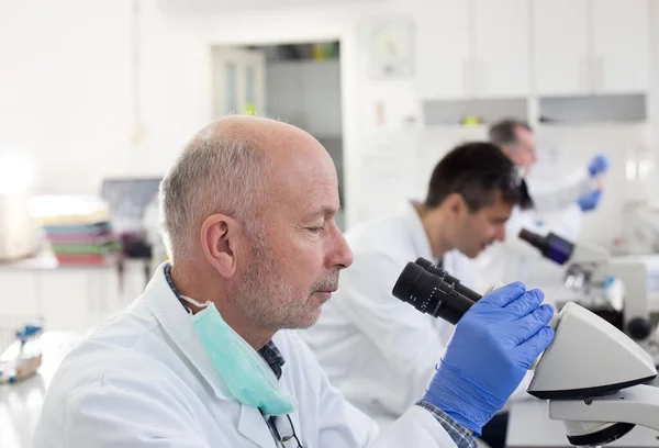 実験室で顕微鏡に取り組む経験豊富な生物学者のチーム — ストック写真