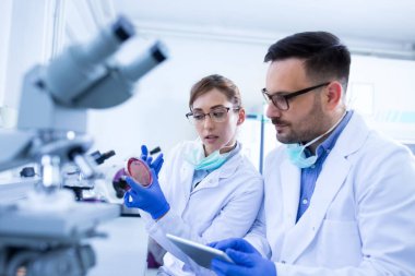 İki biyolog erkek ve kadın petri kabında numunelere bakıyor ve laboratuvarda konuşuyorlar.