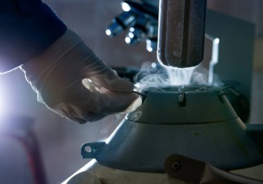Yapay döllenme için kullanılan boğa spermleri için sıvı nitrojen deposunu kapatın. Donmuş sığır spermi kabı