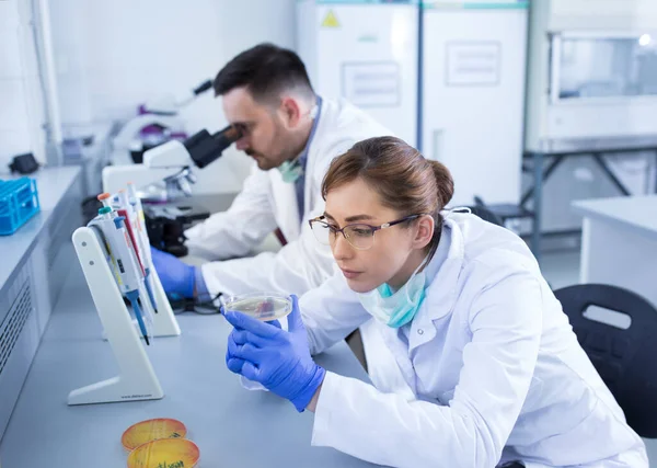 Equipo Biólogos Experimentados Que Trabajan Muestras Laboratorio — Foto de Stock