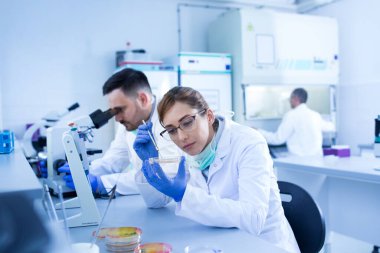 Deneyimli biyologlardan oluşan bir ekip laboratuvarda örnekler üzerinde çalışıyor.