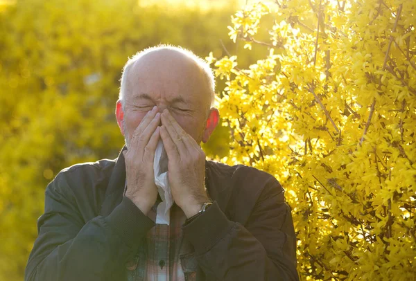 Portrait Homme Âgé Éternuant Dans Des Tissus Devant Arbre Concept — Photo