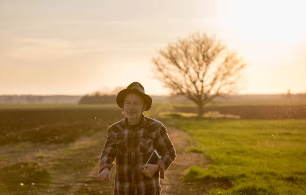 Agricultor Sénior Com Tablet Chapéu Caminhando Campo Primavera Pôr Sol — Fotografia de Stock