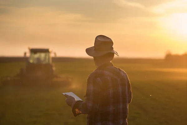 Bakifrån Bonde Med Surfplatta Tittar Traktor Fält Vid Solnedgången Innovation — Stockfoto