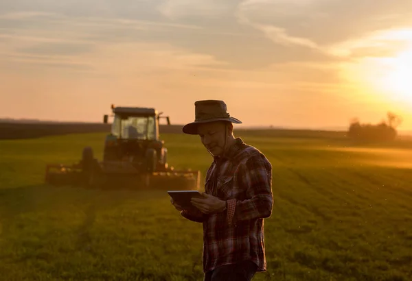 Farmer Patrząc Tabletkę Polu Przed Ciągnikiem Tle Zachodzie Słońca Innowacje — Zdjęcie stockowe