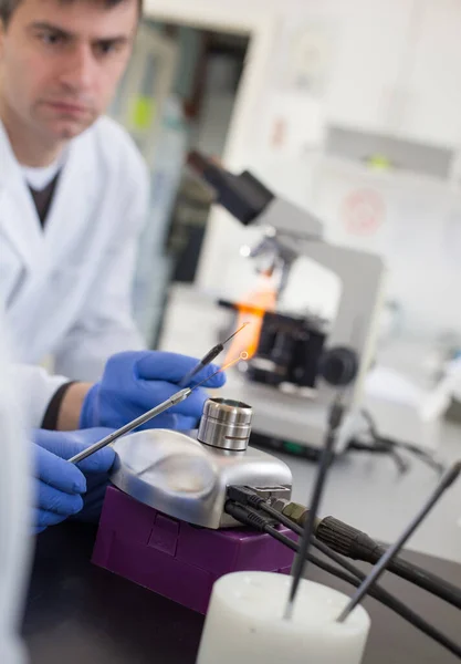 Microbiologiste Chauffage Boucle Inoculation Dans Flamme Brûleur Gaz Laboratoire — Photo