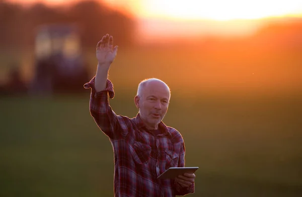 Agricultor Sênior Com Tablet Acenando Frente Trator Campo Pôr Sol — Fotografia de Stock