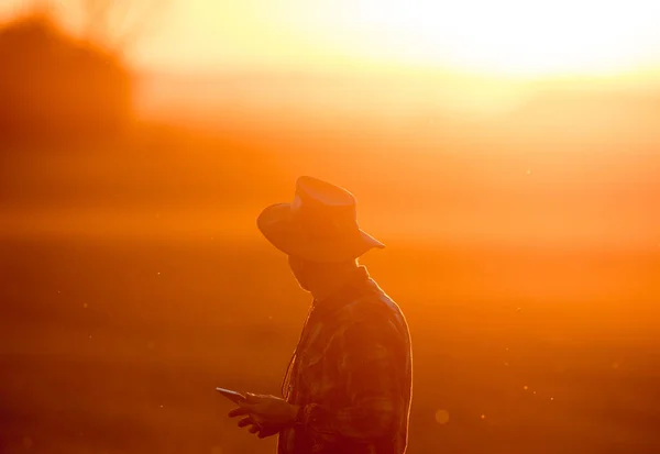 Agricoltore Anziano Con Tablet Staning Campo Tramonto All Inizio Della — Foto Stock