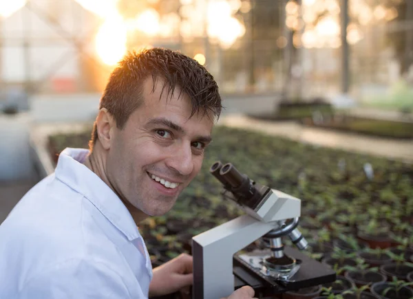 Spokojený Agronomista Pracující Vzorky Mikroskopu Skleníku Koncepce Ochrany Rostlin Růstu — Stock fotografie