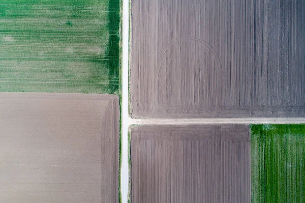 Imagem Aérea Campo Agrícola Com Diferentes Culturas Cores Forma Geométrica — Fotografia de Stock